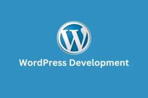 WordPress Website Development Delhi