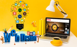 Custom Website Development Delhi NCR